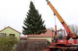 20211115211019_IMG_2163: Foto, video: Vánoční strom pro Miskovice věnovali manželé Magda a Petr Brantovi