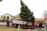 20211115211023_IMG_2177: Foto, video: Vánoční strom pro Miskovice věnovali manželé Magda a Petr Brantovi