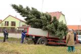 20211115211025_IMG_2187: Foto, video: Vánoční strom pro Miskovice věnovali manželé Magda a Petr Brantovi