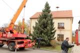 20211115211040_IMG_2232: Foto, video: Vánoční strom pro Miskovice věnovali manželé Magda a Petr Brantovi