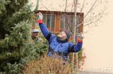 20211115211044_IMG_2240: Foto, video: Vánoční strom pro Miskovice věnovali manželé Magda a Petr Brantovi