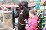 20220205163238_IMG_6273: Foto, video: Rozdivočelý medvěd Míša se v Okřesanči sápal po lidech!