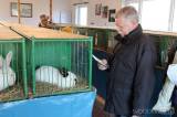 20220212142457_IMG_7737: Foto: Po roční pauze se do Hostovlic vrátila oblíbená výstava holubů a králíků