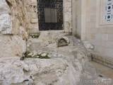 20220607155624_izrael693: Getsemanská zahrada. U tohoto kamene se modlil  Ježíš tu noc, kdy byl zatčen - Jitka Zadražilová přednášela v Čáslavi o Izraeli a Palestině