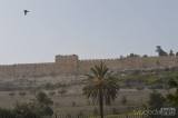 20220607155659_izrael723: Pohled na jeruzalémské brány z Olivetské hory přes Kidrónské údolí - Jitka Zadražilová přednášela v Čáslavi o Izraeli a Palestině