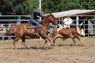 Foto: Na Ranči Dalu v Kozohlodech se v sobotu jelo páté rodeo!