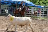 20220806162634_IMG_1641: Foto: Na Ranči Dalu v Kozohlodech se v sobotu jelo páté rodeo!