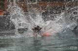 20220816163935__DSC3681: Foto: Pejskové v bohdanečském Bull Edenu soutěžili ve vodních disciplínách