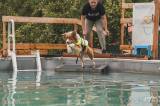 20220816163944__DSC3691: Foto: Pejskové v bohdanečském Bull Edenu soutěžili ve vodních disciplínách