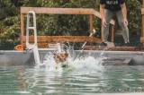 20220816163958__DSC3704: Foto: Pejskové v bohdanečském Bull Edenu soutěžili ve vodních disciplínách