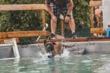 20220816164013__DSC3735: Foto: Pejskové v bohdanečském Bull Edenu soutěžili ve vodních disciplínách