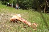 20220820185453_IMG_5135: Foto: Hladový Otesánek v paběnickém lese loudil po dětech svačiny!