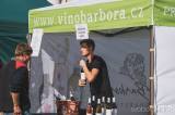 20220911221333__DSC7797: Foto: Krajské vinobraní a dožínky na Kačině nabídly nejen dobré víno!