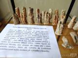 20220919212246_2: Čáslavské středověké figurky poprvé vystavili v místním muzeu