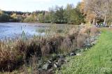 20221028130137_IMG_8299: Foto: Obecní rybník v Hetlíně vydal v pátek své bohatství
