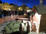 20221127232847_DSCN3151: Věnovanka zahrála při rozsvícení vánočního stromu v Čáslavi