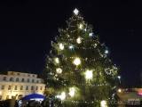 20221127232852_DSCN3158: Věnovanka zahrála při rozsvícení vánočního stromu v Čáslavi