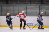 20221205210659_DSCF0148: Foto: V pátečním zápase AKHL hokejisté HC Devils porazili HC Ropáci 7:5!
