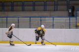 20230118134515_DSCF0135: Foto: V úterním zápase AKHL hokejisté HC Vosy porazili HC Dělový koule 6:4!