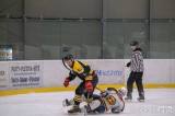 20230118134518_DSCF0148: Foto: V úterním zápase AKHL hokejisté HC Vosy porazili HC Dělový koule 6:4!