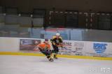 20230308233325_DSCF0056: Foto: V úterním zápase AKHL hokejisté HC Vosy porazili HC Nosorožci 16:6!