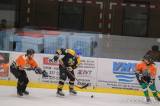 20230308233333_DSCF0144: Foto: V úterním zápase AKHL hokejisté HC Vosy porazili HC Nosorožci 16:6!