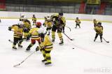 20230324183134_IMG_0100: Foto: Hokejisté kutnohorského áčka vzdorovali na ledě nejmladším Sršňům!