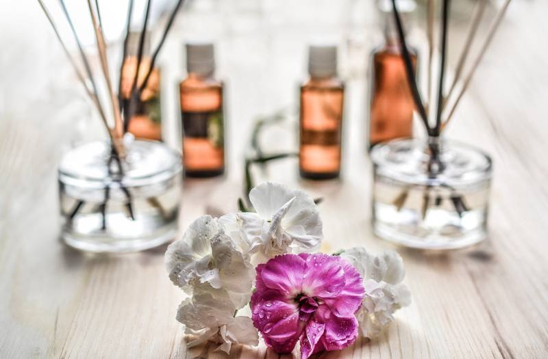TIP: Nejlepší letní parfémy - průvodce nákupem