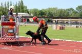 20230528133206_IMG_7744: Foto: Na stadionu Olympie se představili hasiči, policisté, strážníci, psovodi a další!