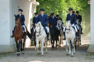Národní hřebčín prezentoval v rámci Dne starokladrubského koně velkou jezdeckou čtverylku třiceti dvou jezdců
