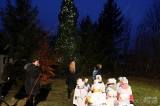 20231126004638_IMG_4365: Foto: V Kobylnici už svítí vánoční strom, o atmosféru se postaraly děti ze školky!