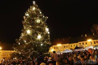 Vánoční strom na Palackého náměstí rozsvítí v pondělí 4. prosince