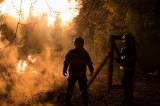 Foto: Požár u kolínské Spálenky zaměstnal hasiče, policii i záchranku