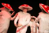 Dospělácký karneval ve Zbraslavicích pozdraví pánská taneční skupina Rasputin