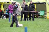 20160410_IMG_0015: Foto: Závody v agility na kutnohorském cvičáku otestovaly spolupráci psovoda se psem