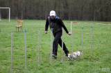 20160410_IMG_0020: Foto: Závody v agility na kutnohorském cvičáku otestovaly spolupráci psovoda se psem