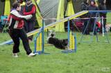 20160410_IMG_0048: Foto: Závody v agility na kutnohorském cvičáku otestovaly spolupráci psovoda se psem