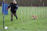 20160410_IMG_0058: Foto: Závody v agility na kutnohorském cvičáku otestovaly spolupráci psovoda se psem