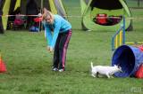 20160410_IMG_9986: Foto: Závody v agility na kutnohorském cvičáku otestovaly spolupráci psovoda se psem