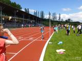 20160510_ACK141: Foto: Kutnohorský atletický stadion hostil krajské závody přípravek