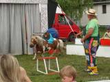 20160608_DSC07434: Foto: Třídvorské děti bavil rodinný cirkus Paldus