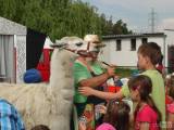 20160608_DSC07442: Foto: Třídvorské děti bavil rodinný cirkus Paldus