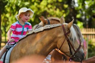 TIP na sobotní odpoledne: Heroland v koňském sedle a jezdecké ukázky
