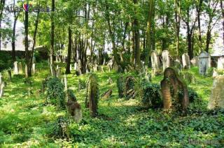 Dobrovolníci zvelebí starý židovský hřbitov v Kolíně již tento pátek