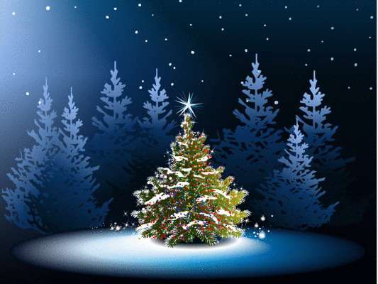 Na Volárně rozsvítí vánoční strom již tento pátek