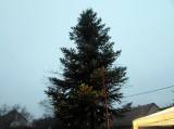 20161127220821_IMG_4525: Foto: Hasiči v Zehubech rozsvítili vánoční strom, přišel i Mikuláš!