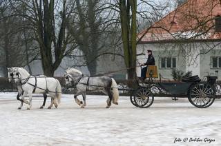 Tip na výlet: Zimní království starokladrubských koní