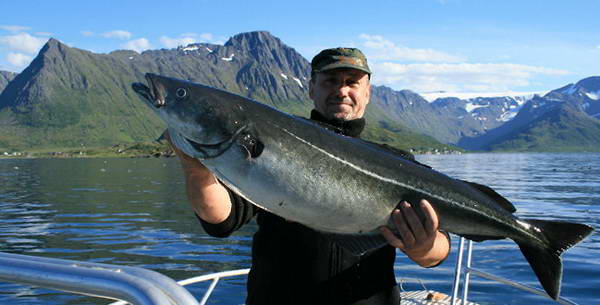 O rybolovu v Norsku ve Veltrubech pohovoří Jan Dufek