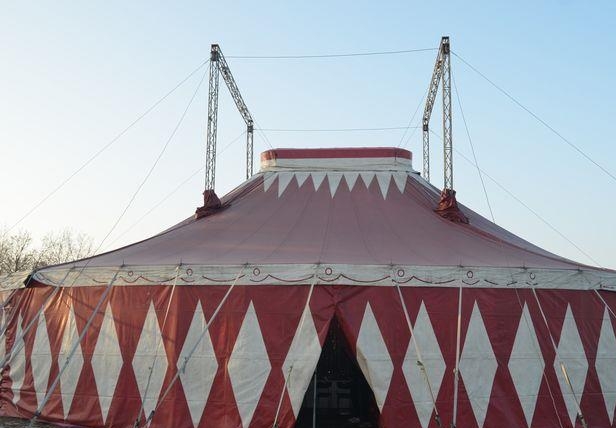 Do Kolína přijíždí nový cirkus Venasis