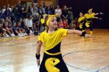 20170425163933_DSC_0775: Foto: Taneční skupiny podesáté soutěžily o „Čáslavský Čtyřlístek“